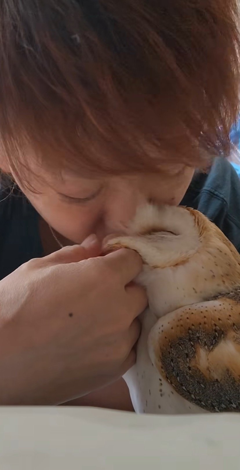 出所：@miki4wan108