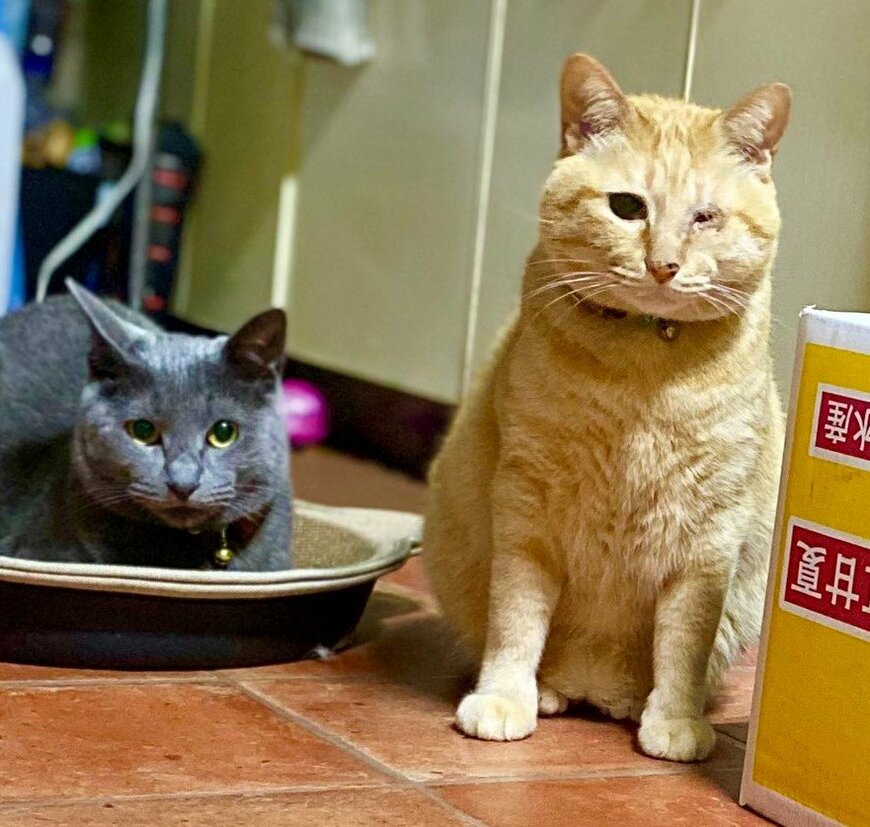 出所：@luna7taka9