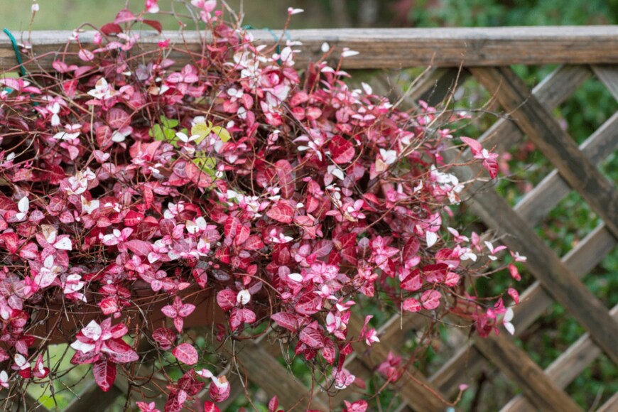 itasun/istockphoto.com