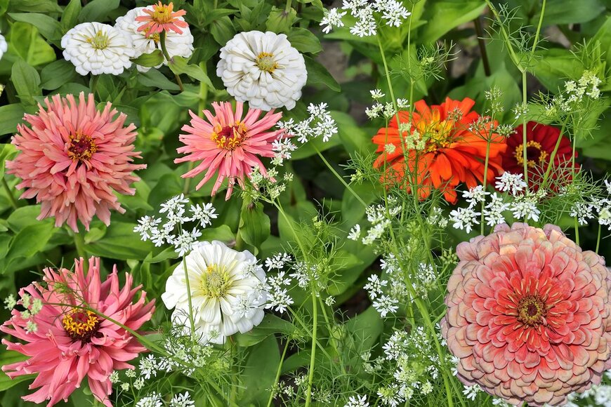 Rvo233/istockphoto.com