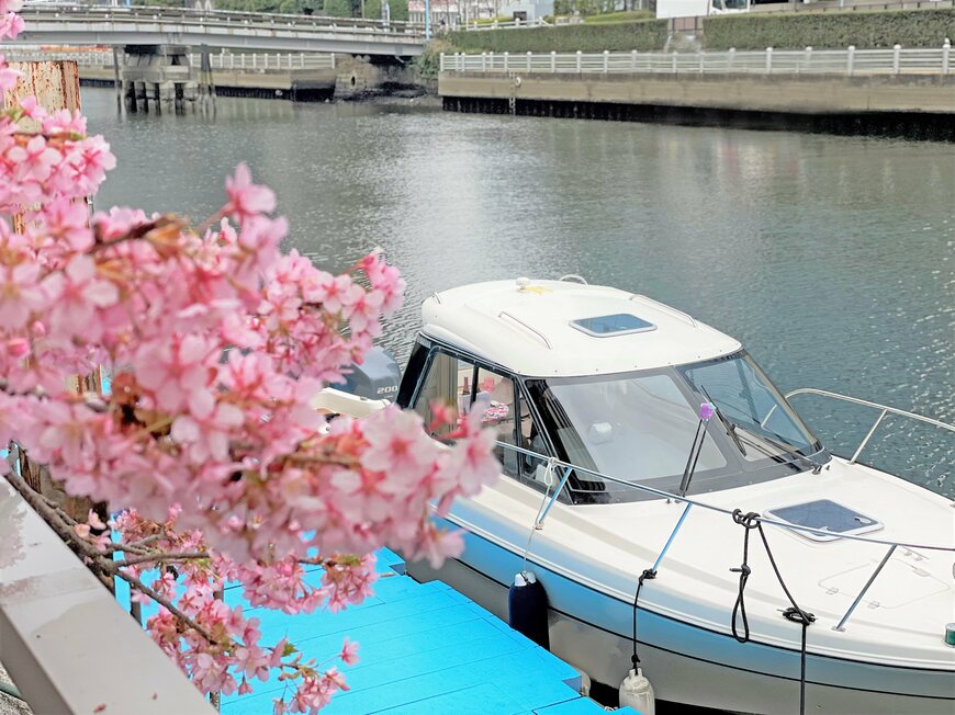【お花見】東京の人気お花見スポット「目黒川」の桜クルーズ3選