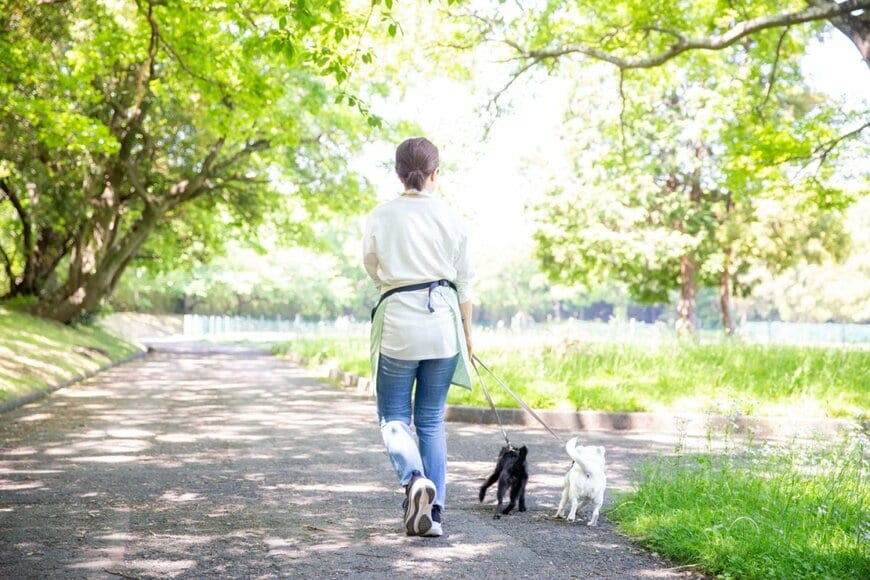 散歩のイメージ