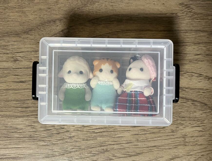 キャンドゥ 衣装ケース風 小物入れ商品画像