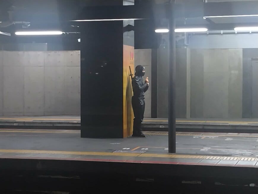 とても目立っていますね!