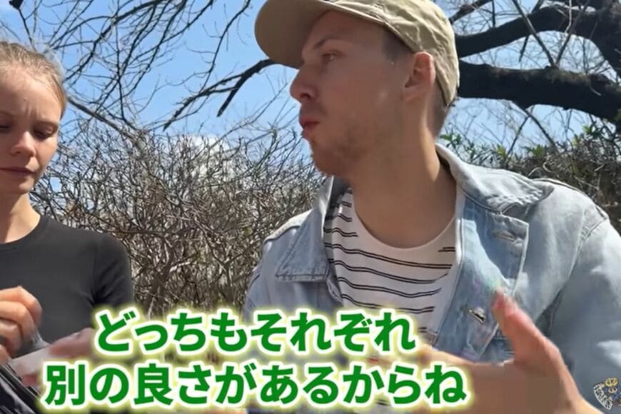 投稿動画のワンシーン