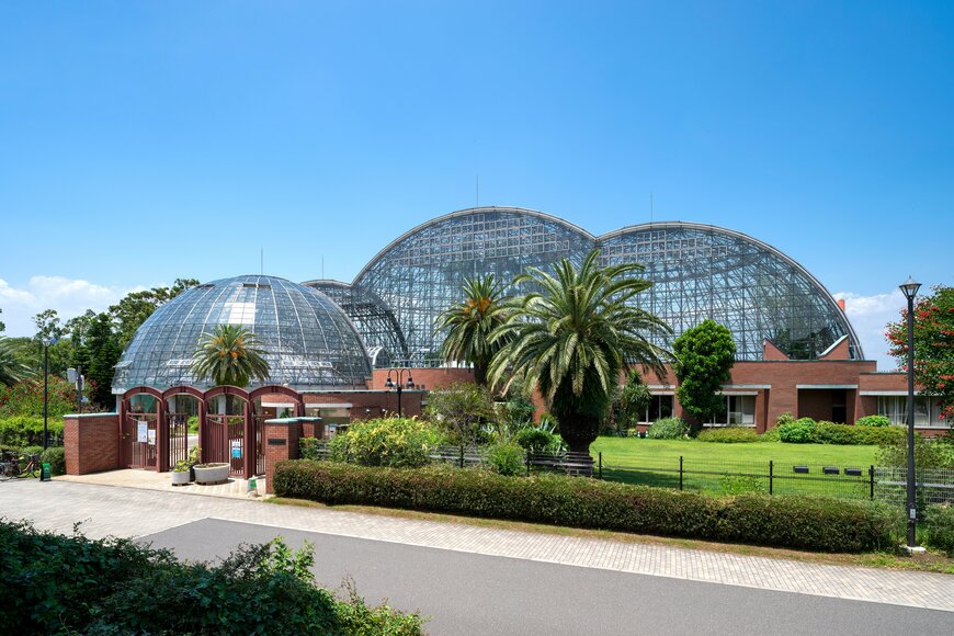 夢の島熱帯植物館