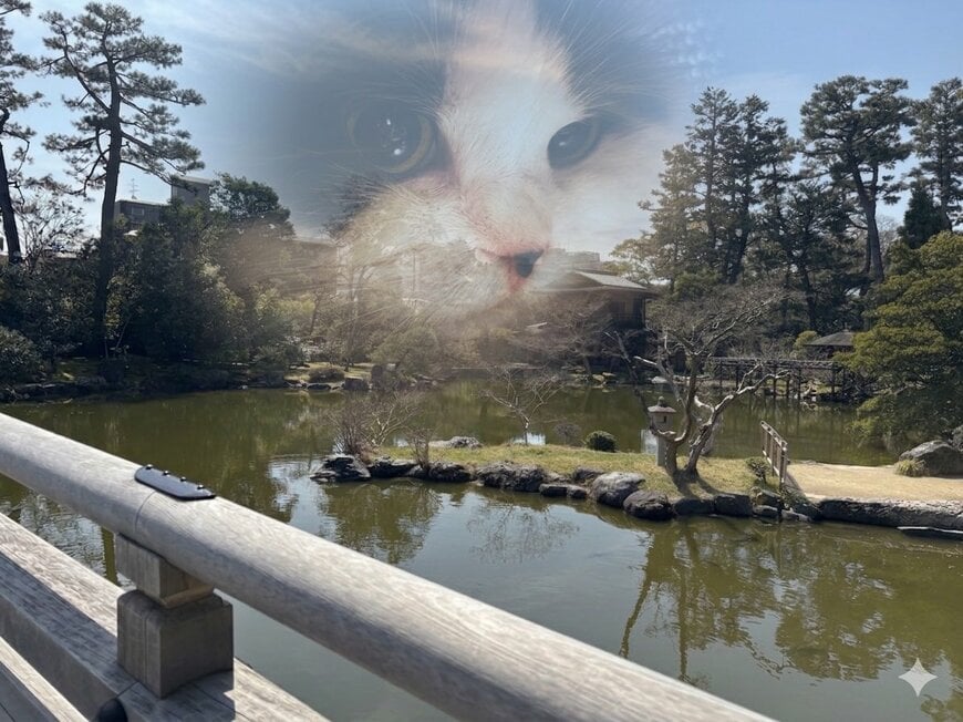 空に浮かび上がる愛猫の顔!