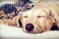 年金、ふつうの人は《国民年金・厚生年金》を月額いくらもらってる？60歳～90歳以上「みんなの平均年金受給額」はどれくらい？