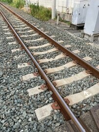 近所を走る「電車の線路と手作りのNゲージ」を比較　錆びたレールまで再現した仕上がりに「サビが最高です」