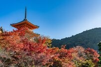 【誰が考えたの？】京都・先斗町で見つけた「あまりにもかわいいマーク」が話題に