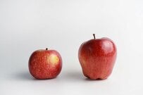 厚生年金＋国民年金の月額「10万円以下」vs「20万円超」どちらが多い？【12月15日は2025年最後の年金支給日】