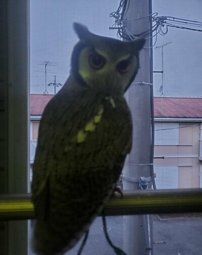 投稿写真のワンシーン