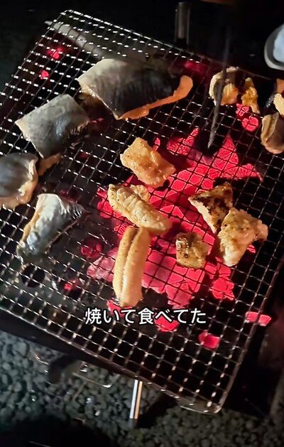 投稿動画のワンシーン