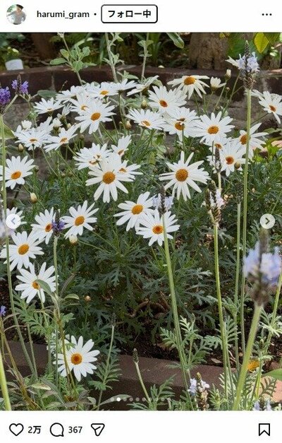 栗原はるみのInstagram投稿