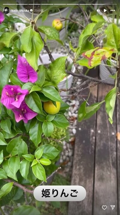 工藤静香のInstagram投稿