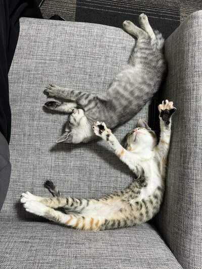 豪快でユニークな寝相