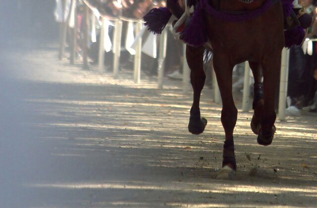 「藤森神社駈馬神事」に登場した意外な人物に注目集まる　「うわ、カッコ良い」