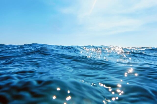 北海道の海岸に残された「奇妙な足跡」を思わず二度見　「謎の正体」をめぐる予想コメントが続出
