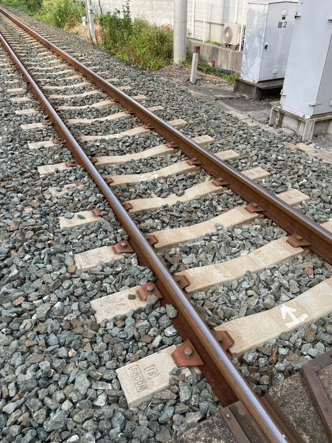 近所を走る「電車の線路と手作りのNゲージ」を比較 錆びたレールまで再現した仕上がりに「サビが最高です」