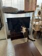ずっとテレビを匂っていた猫…よく見たら画面の前にひっそり座る黒猫がいた