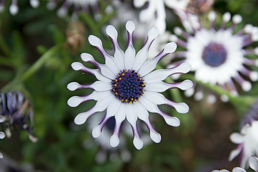 Johnnieshin/istockphoto.com