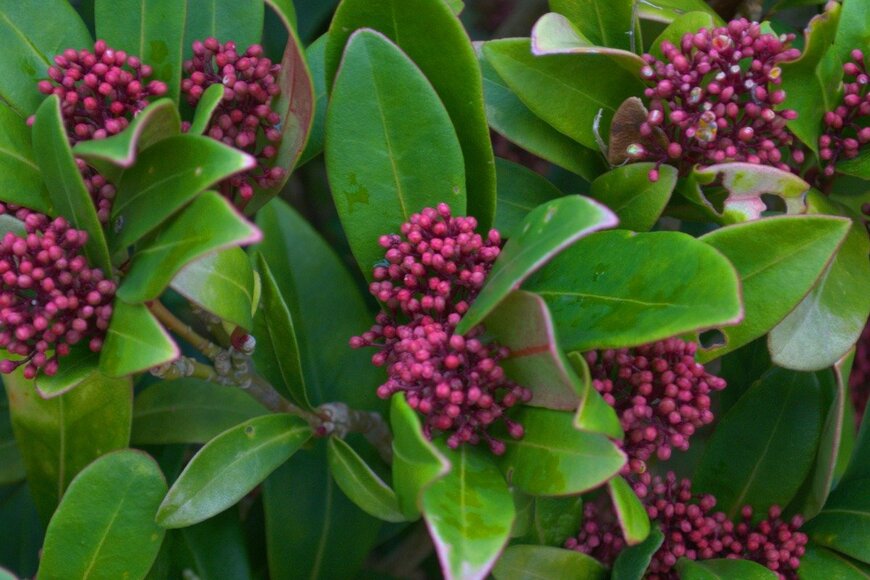 Wirestock/istockphoto.com