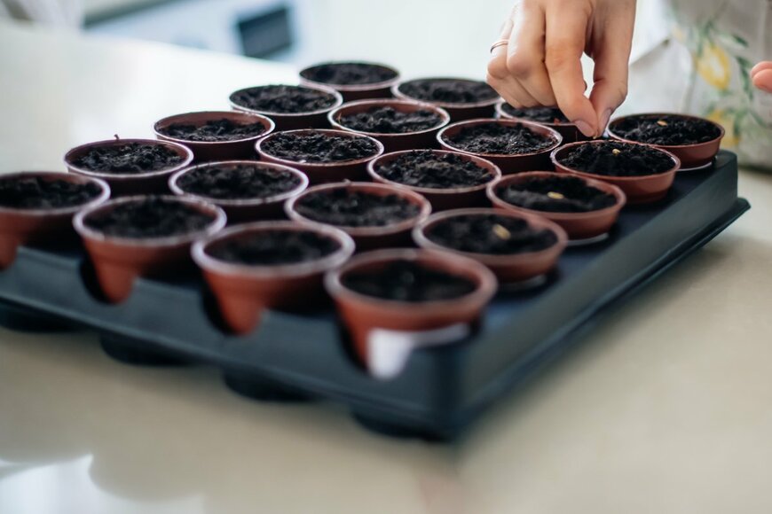 Okrasiuk/shutterstock.com