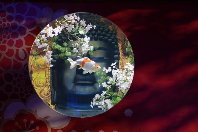 画像出所：株式会社UWS ENTERTAINMENT「西日本最大級の金魚エンタメ・アクアリウム空間「金魚ミュージアム」がオープン！」