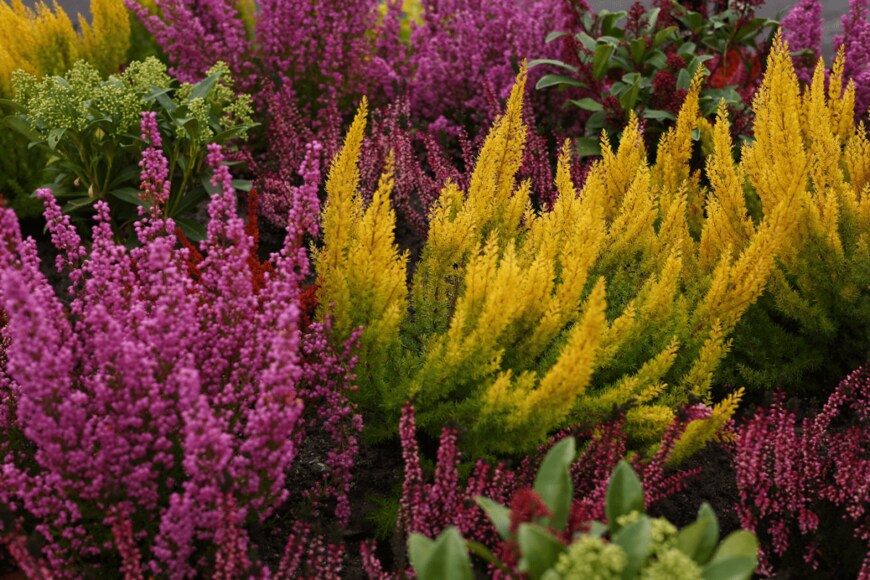 Stefano Bolognini/shutterstock.com