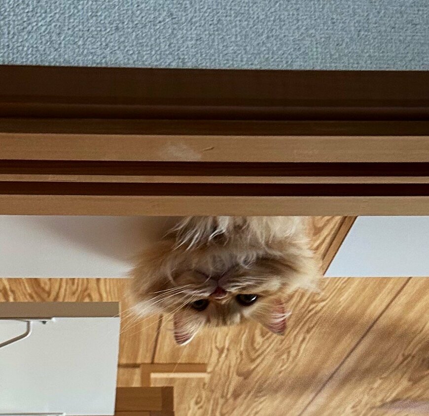 出所：@NEKOLAND13