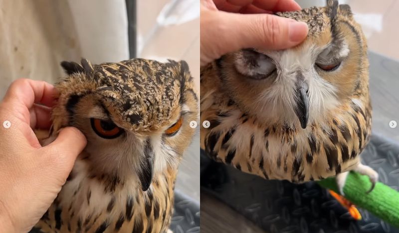 出所：@ba_chantolatte