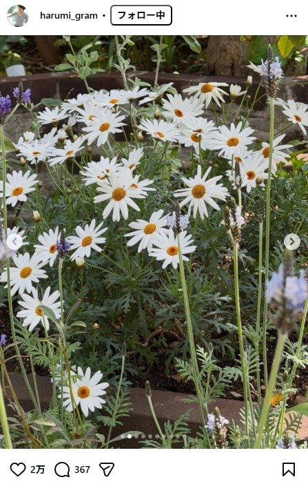 出所：栗原はるみのInstagram（＠harumi_gram） 参照日：2026年3月30日