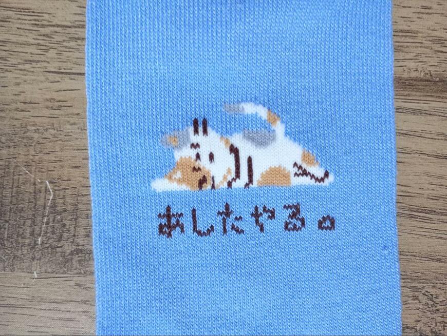筆者撮影(セリア、レディースショート丈寝転びアニマル)