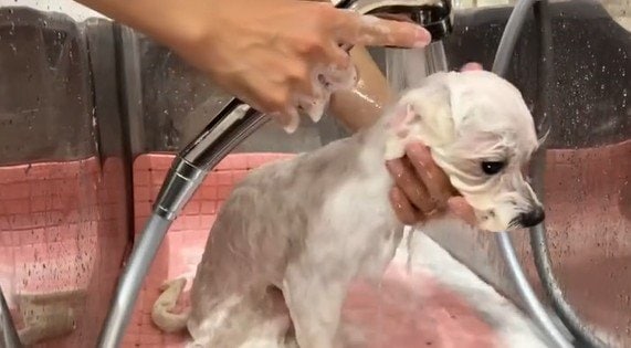 出所：＠etoile_0403