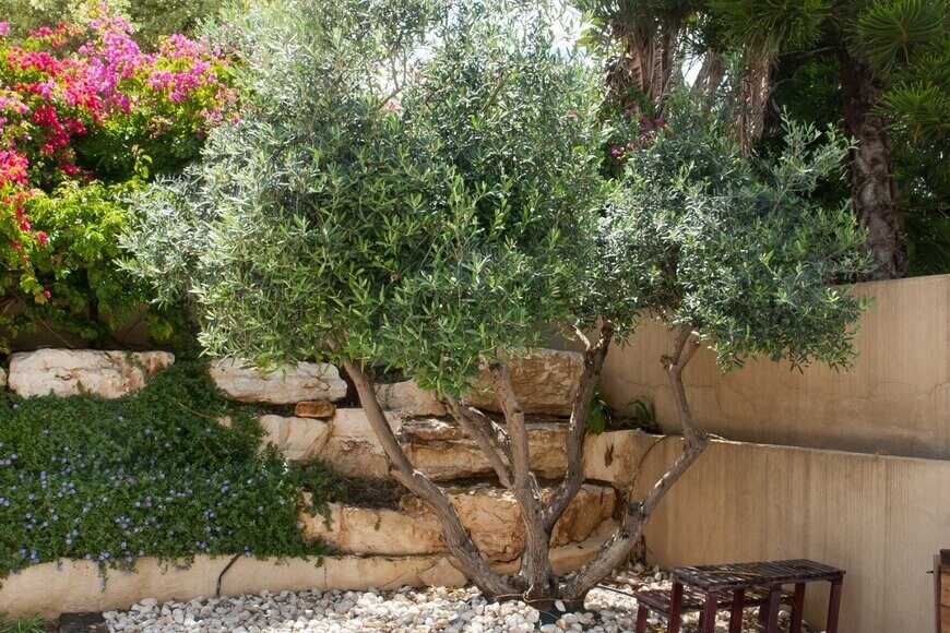 RonyZmiri/istockphoto.com