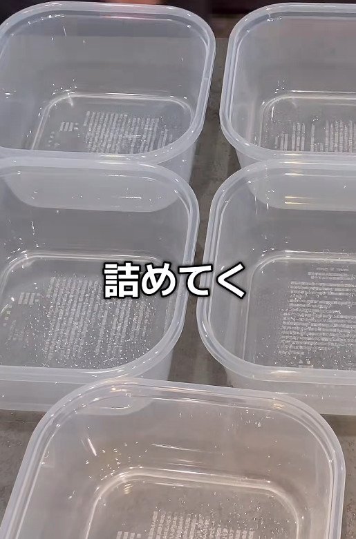 妻が5日分まとめて旦那に作る愛情弁当　玉ねぎと豚肉のポン酢炒めが詰まったお弁当がおいしそう