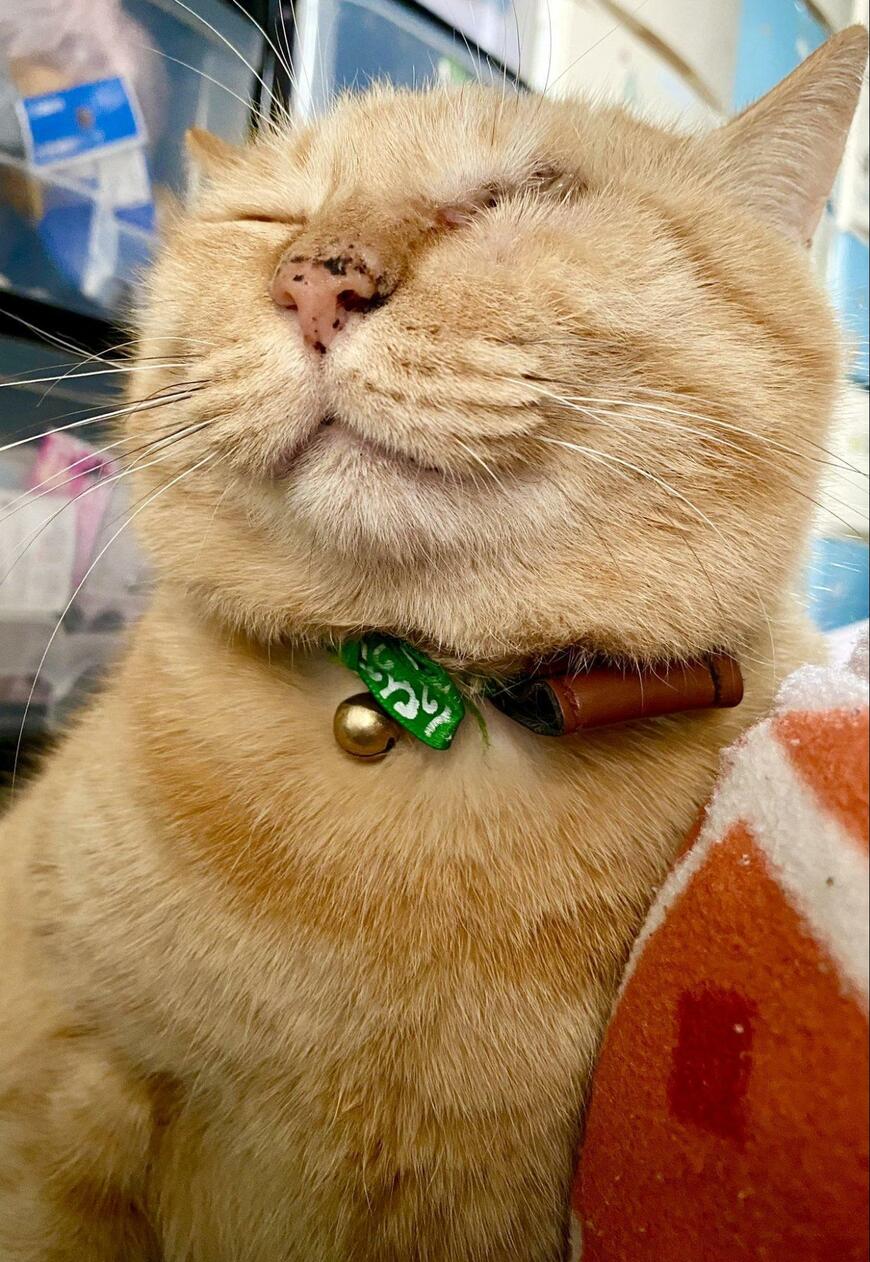 出所：@luna7taka9