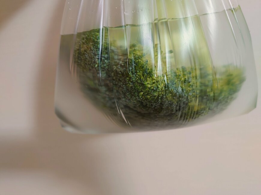 カサの部分が浸るくらい水を入れます