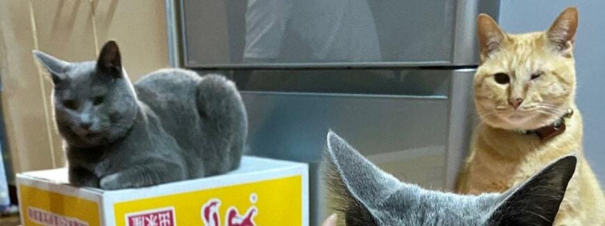 出所：@luna7taka9