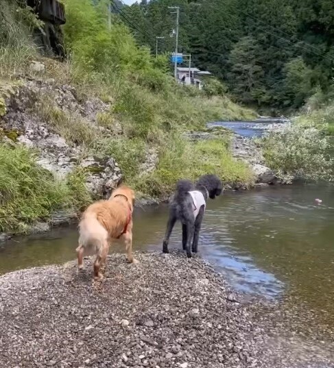 出所：goldenuzboy