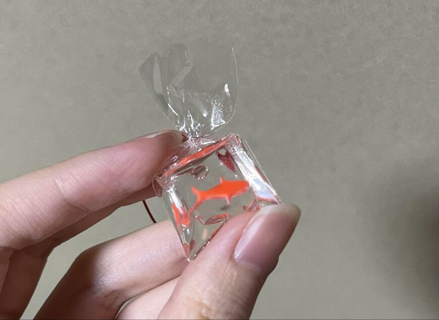 筆者撮影（セリア、金魚パーツ）