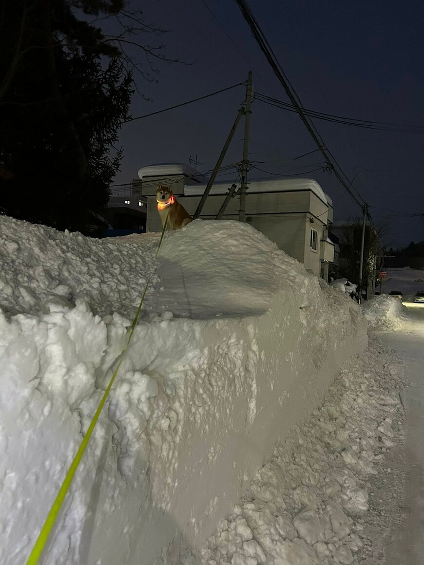 出所：@pinoko04680170