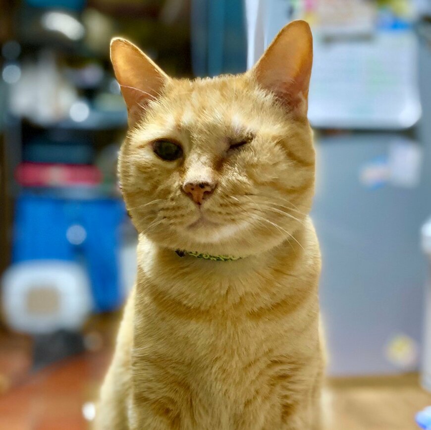 出所：@luna7taka9