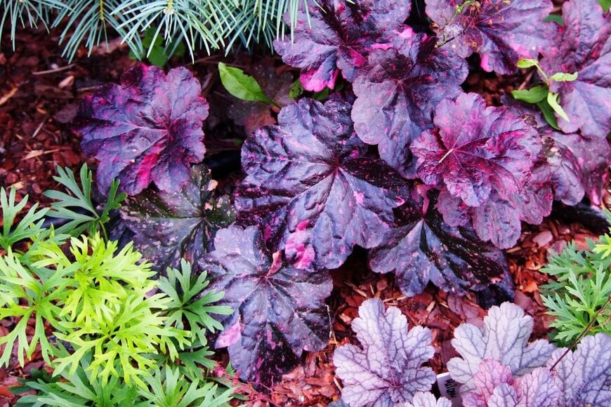 Gratysanna/istockphoto.com