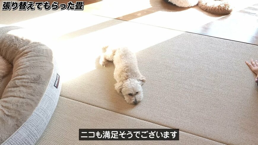 出所：@saitoufufu