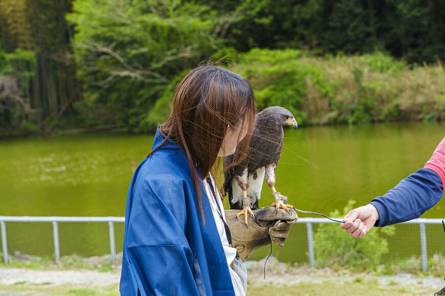 【2023GW】静岡・掛川花鳥園で様々な鳥たちとの触れ合いを体験！