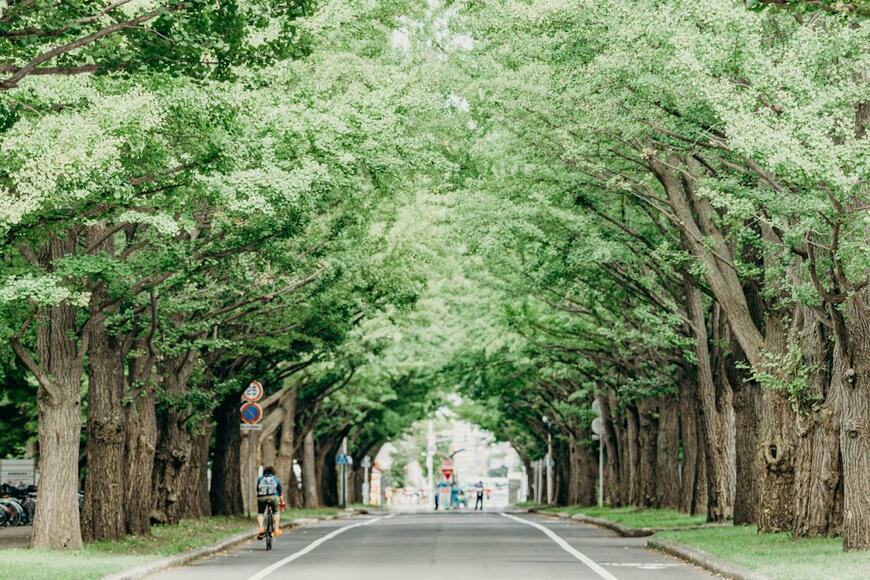 北海道大学で撮影された1枚