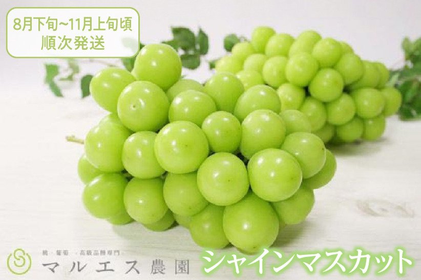ふるさと納税