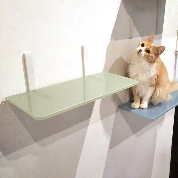 ニトリ、カラーキャットステップ(幅45cm CATROAD+)画像