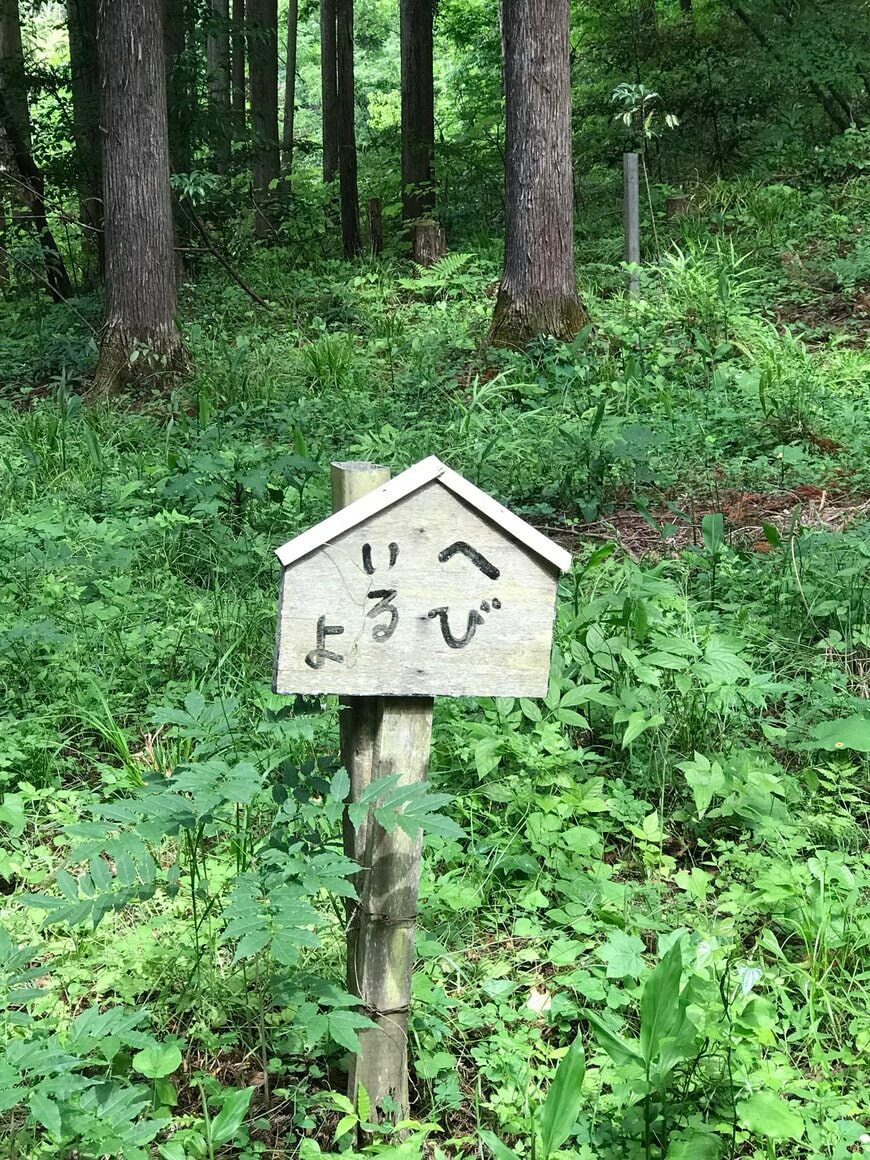 森の中の看板